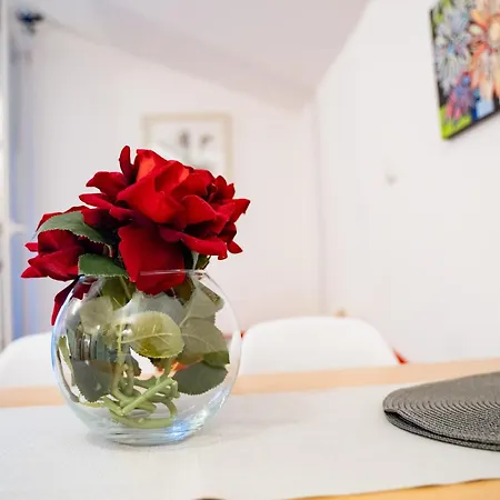 Apartament Pijaceta *